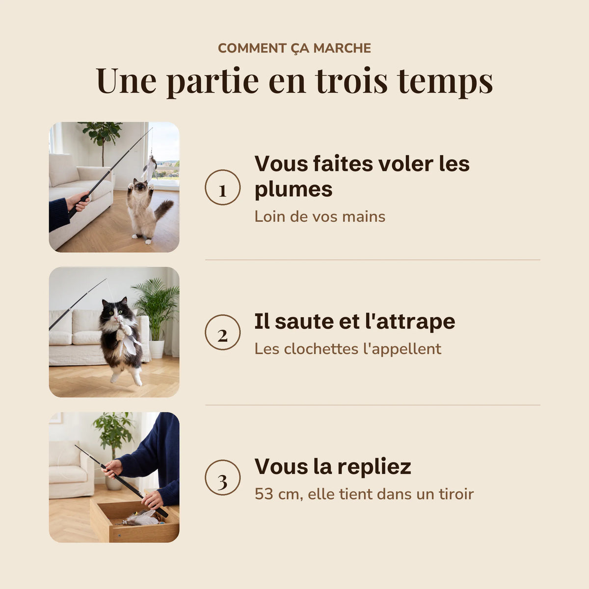 Trois étapes : faire voler les plumes de la canne Pêchalune, le chat saute pour les attraper, replier la canne à 53 cm.