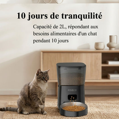 chat tigré devant un distributeur automatique croquettes pour chat 2L avec inscription 10 jours de tranquillité et réservoir visible plein de croquettes