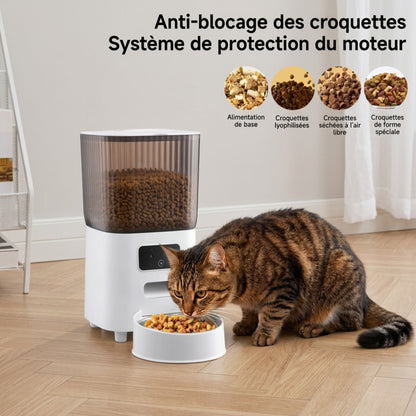 distributeur automatique de croquettes anti-blocage avec système 
de protection moteur, chat tigré mangeant dans sa gamelle, 
compatible alimentation de base, lyophilisée, séchée et forme spéciale