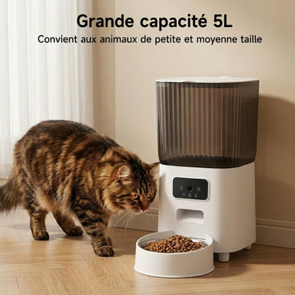 distributeur automatique de croquettes pour chat grande capacité 5L, 
chat tigré marron mangeant dans sa gamelle, convient aux animaux 
de petite et moyenne taille, panneau caméra connecté, intérieur moderne