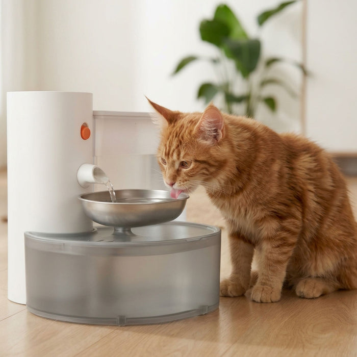 Chat qui boit à une fontaine à eau Catedo