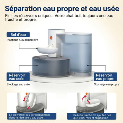 Schéma explicatif fontaine à eau pour chat avec double réservoir, séparation eau propre et eau usée, renouvellement automatique toutes les 3 à 6 heures