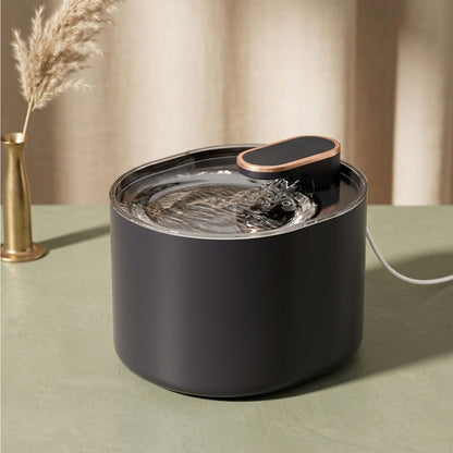 ontaine à eau pour chat 3L noir mat, distributeur eau chat contour doré cuivré, fond vert sauge pampas, catedo