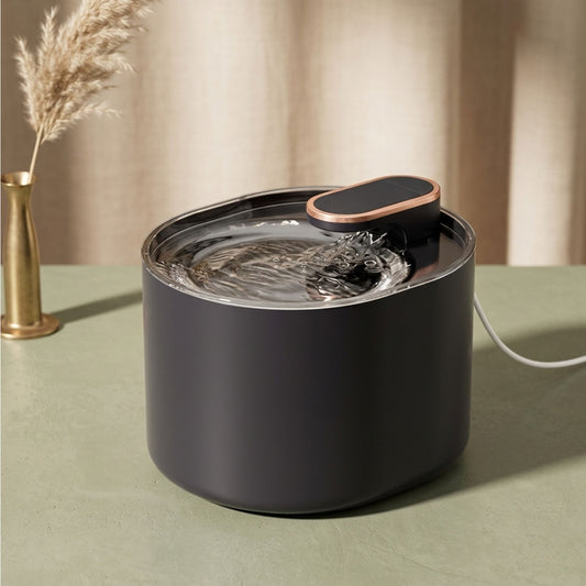 ontaine à eau pour chat 3L noir mat, distributeur eau chat contour doré cuivré, fond vert sauge pampas, catedo
