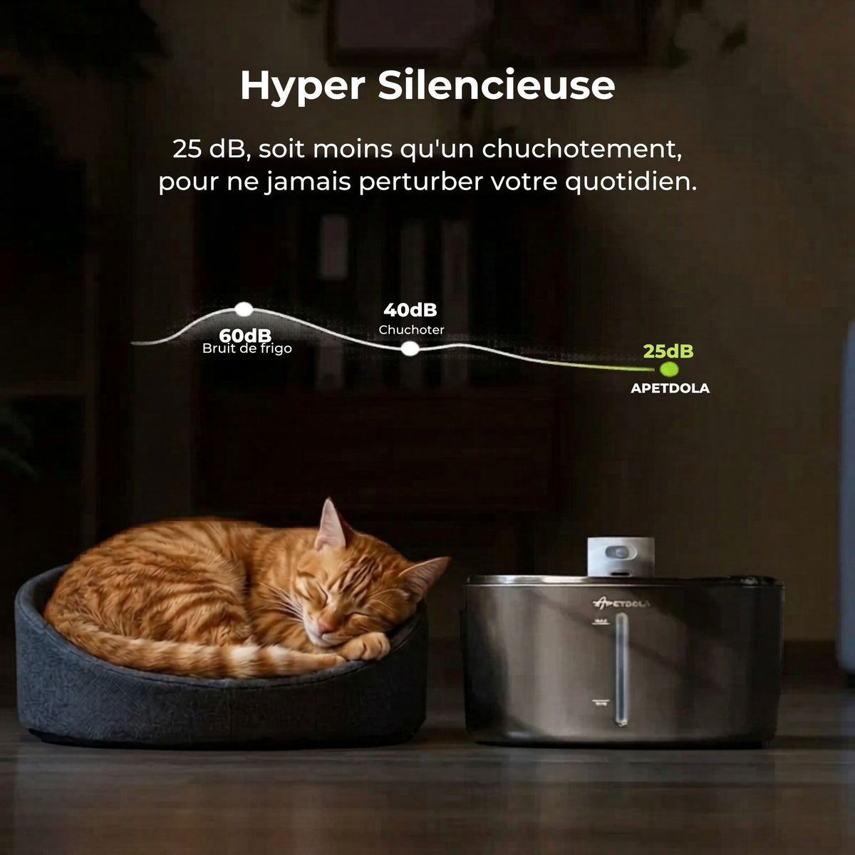 fontaine à eau pour chat sans fil 4L silencieuse 25dB, distributeur eau chat sans fil, chat roux dort panier anthracite, hyper silencieuse nuit, catedo