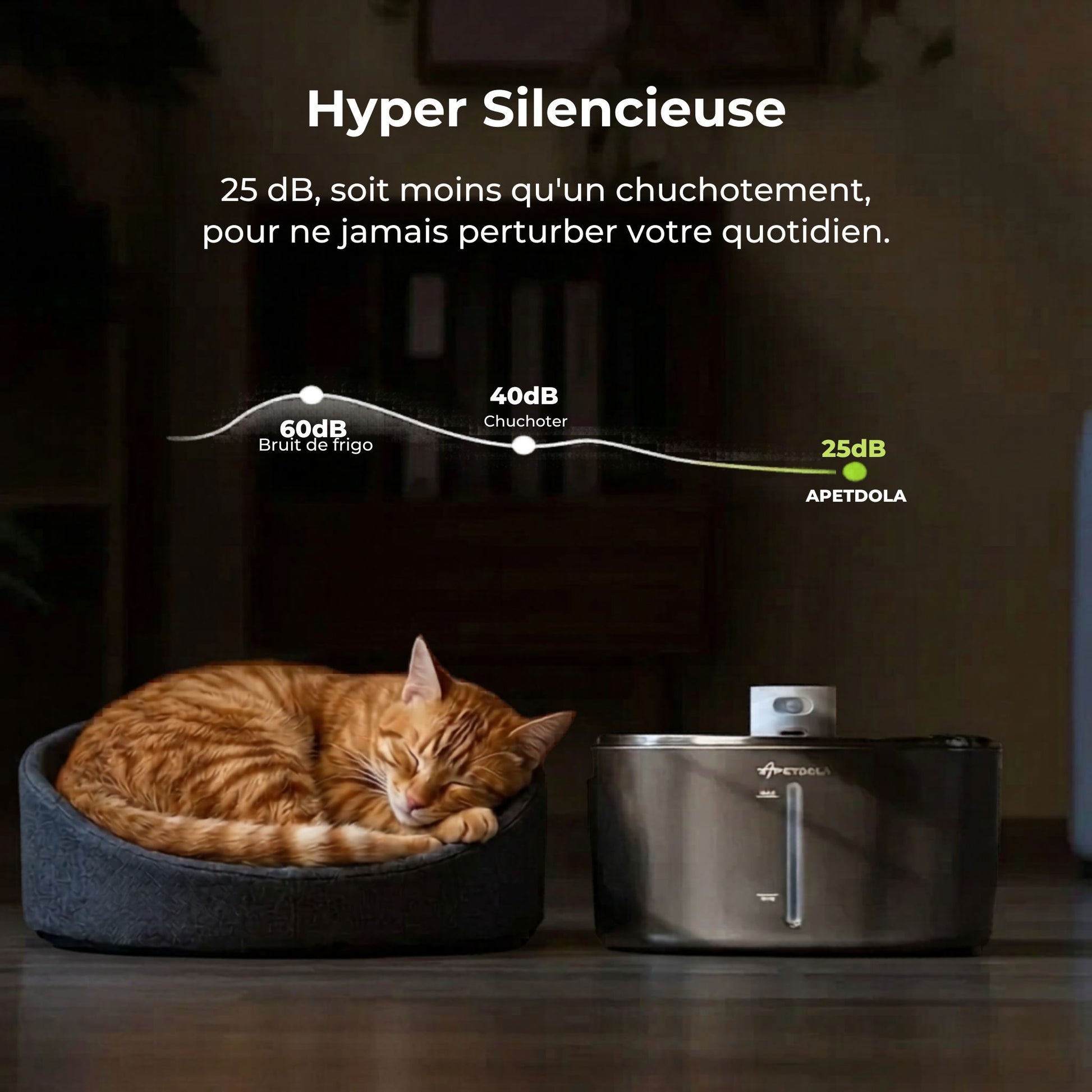 fontaine à eau pour chat sans fil 4L silencieuse 25dB, distributeur eau chat sans fil, chat roux dort panier anthracite, hyper silencieuse nuit, catedo