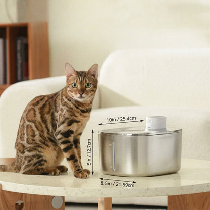 fontaine à eau pour chat sans fil 4L inox dimensions 25.4cm, distributeur eau chat, chat bengal yeux verts, salon bouclé blanc, catedo