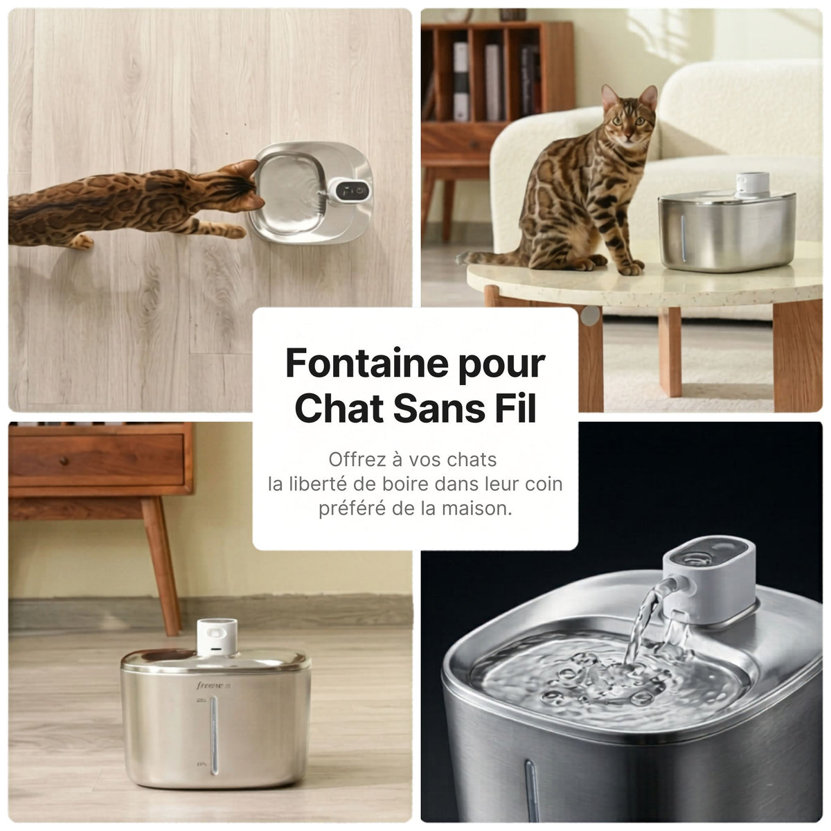 fontaine à eau pour chat sans fil 4L inox, distributeur eau chat sans fil, chat bengal multi-positions, liberté boire maison, catedo