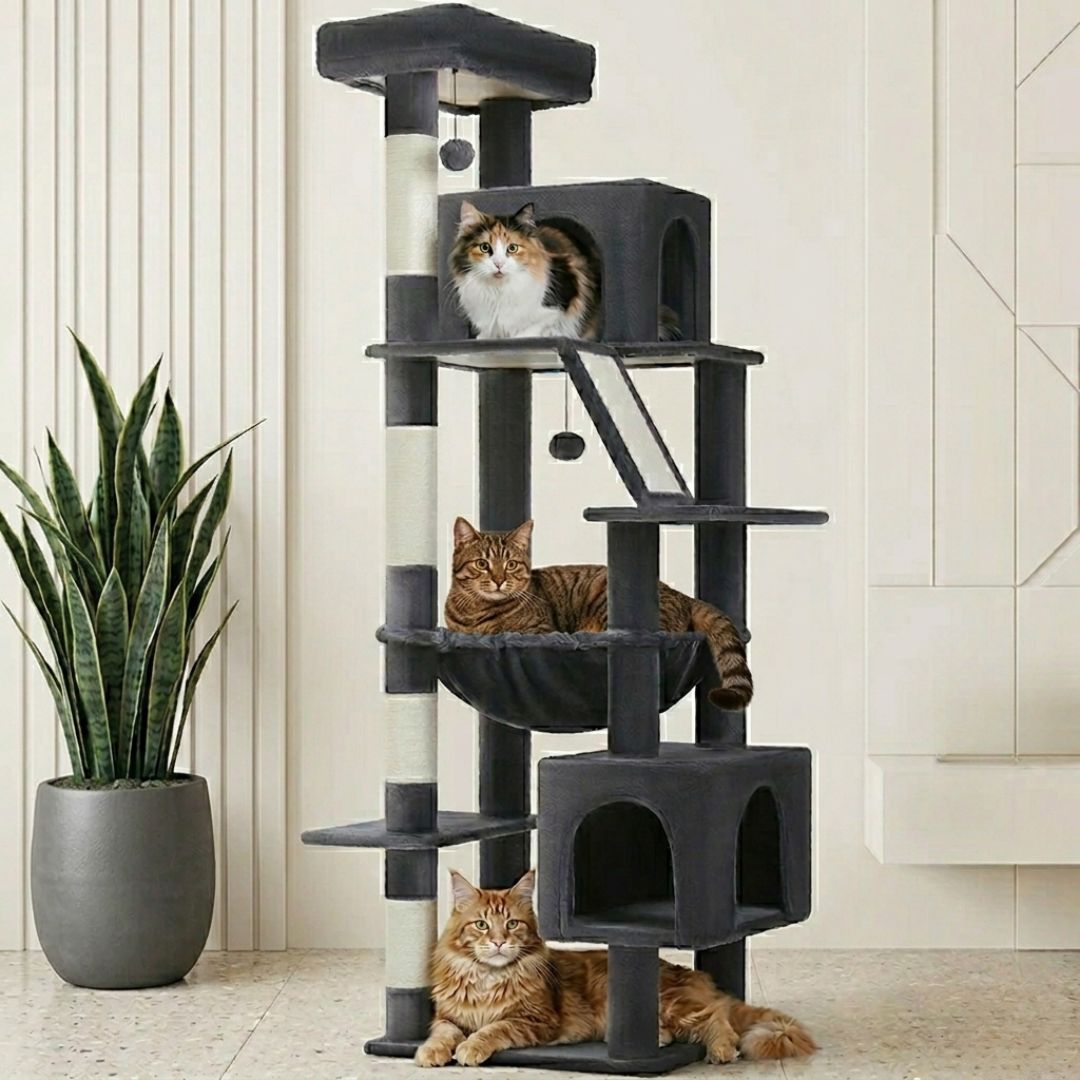 grand arbre à chat gris foncé salon intérieur trois chats Maine Coon double cabane hamac large griffoir sisal
