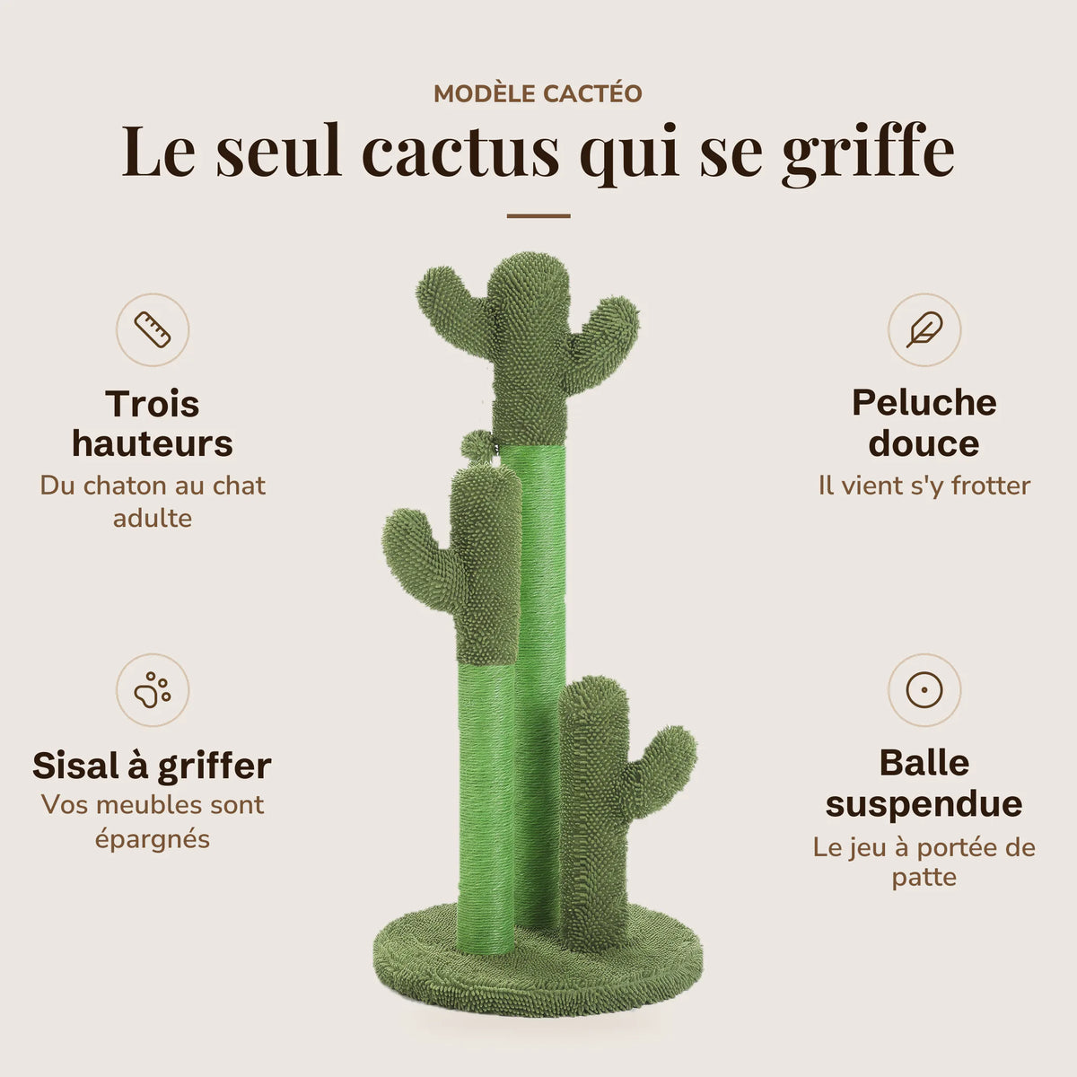 Les avantages du griffoir cactus : trois hauteurs, sisal à griffer, peluche douce, balle suspendue