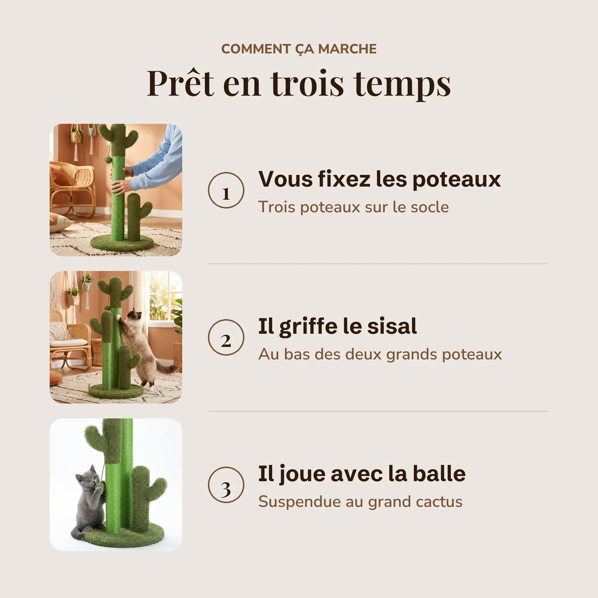 Trois étapes : fixer les poteaux sur le socle, le chat griffe le sisal, puis joue avec la balle suspendue