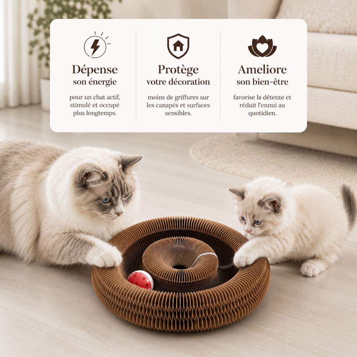 Griffoir pour chat en carton avec balle interactive, espace de jeu, stimulation mentale et surface de griffage pour chat d’intérieur Catedo.