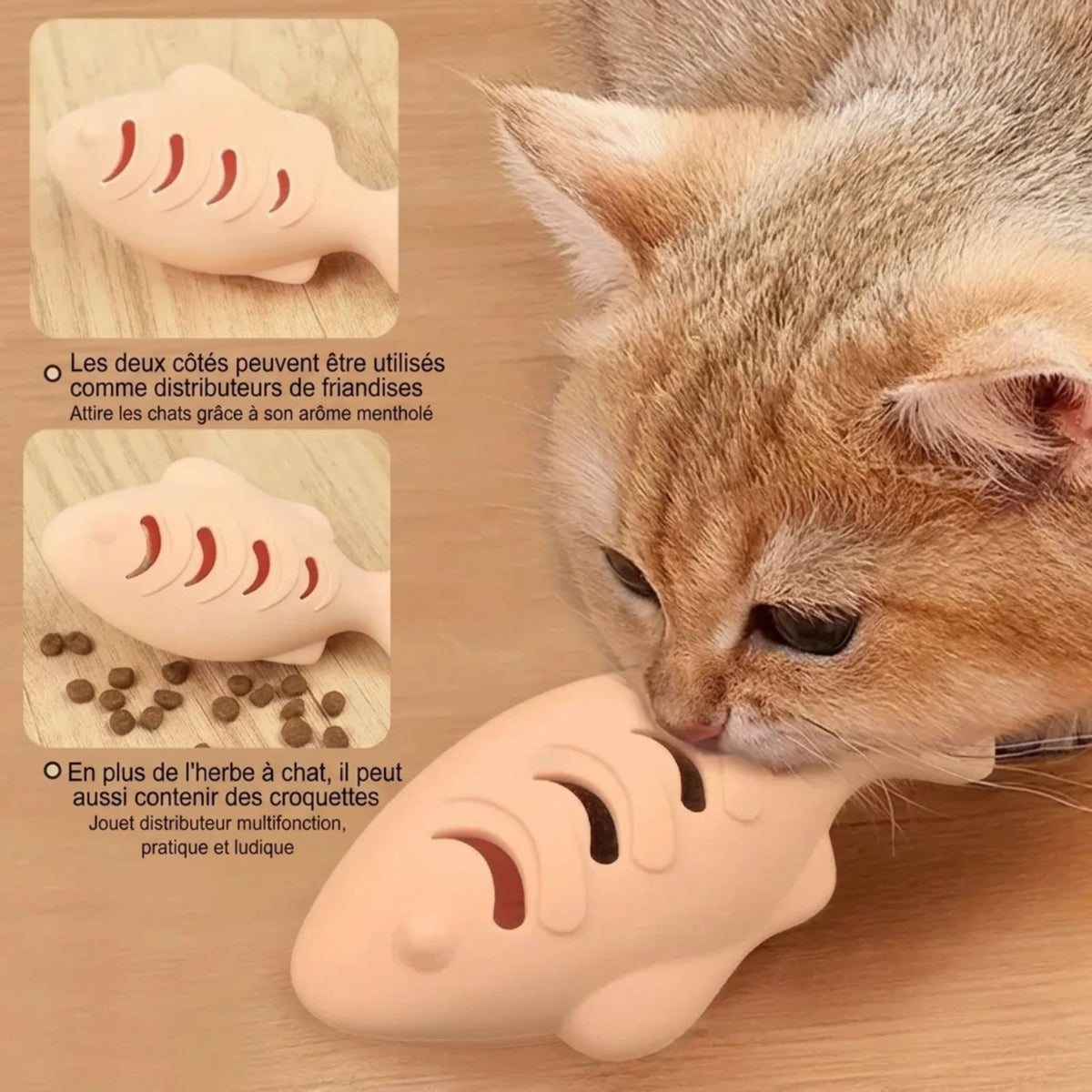 Chat roux léchant un jouet poisson distributeur en silicone couleur saumon compatible herbe à chat et croquettes, les deux côtés utilisables comme distributeur
