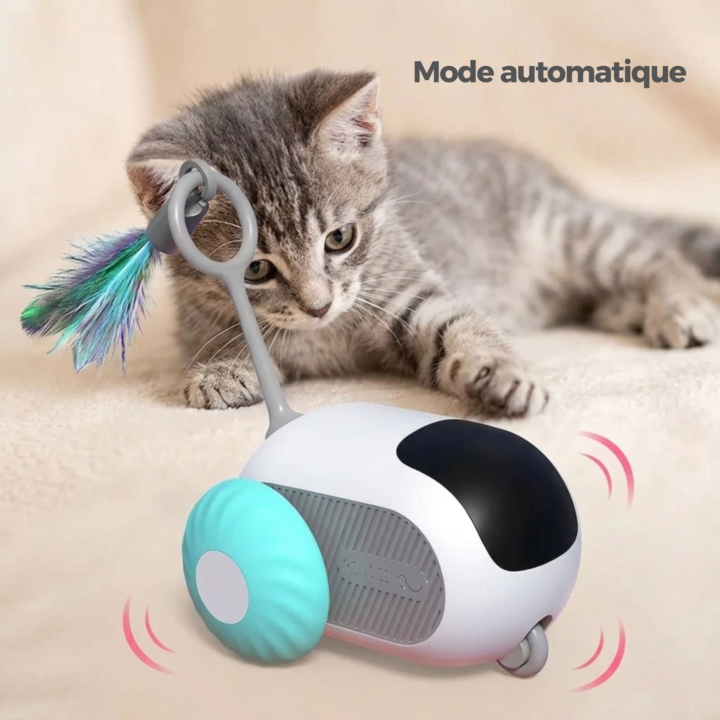 Chaton tigré gris en position de chasse face à une voiture téléguidée interactive en mode automatique avec vibrations