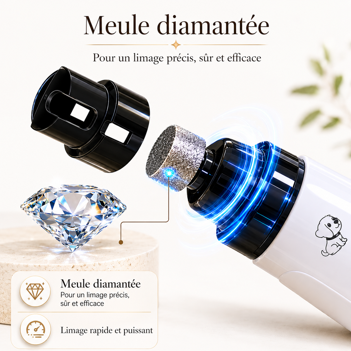 Embout abrasif haute précision pour l’entretien des griffes de chat avec limage fluide, rapide et maîtrisé.