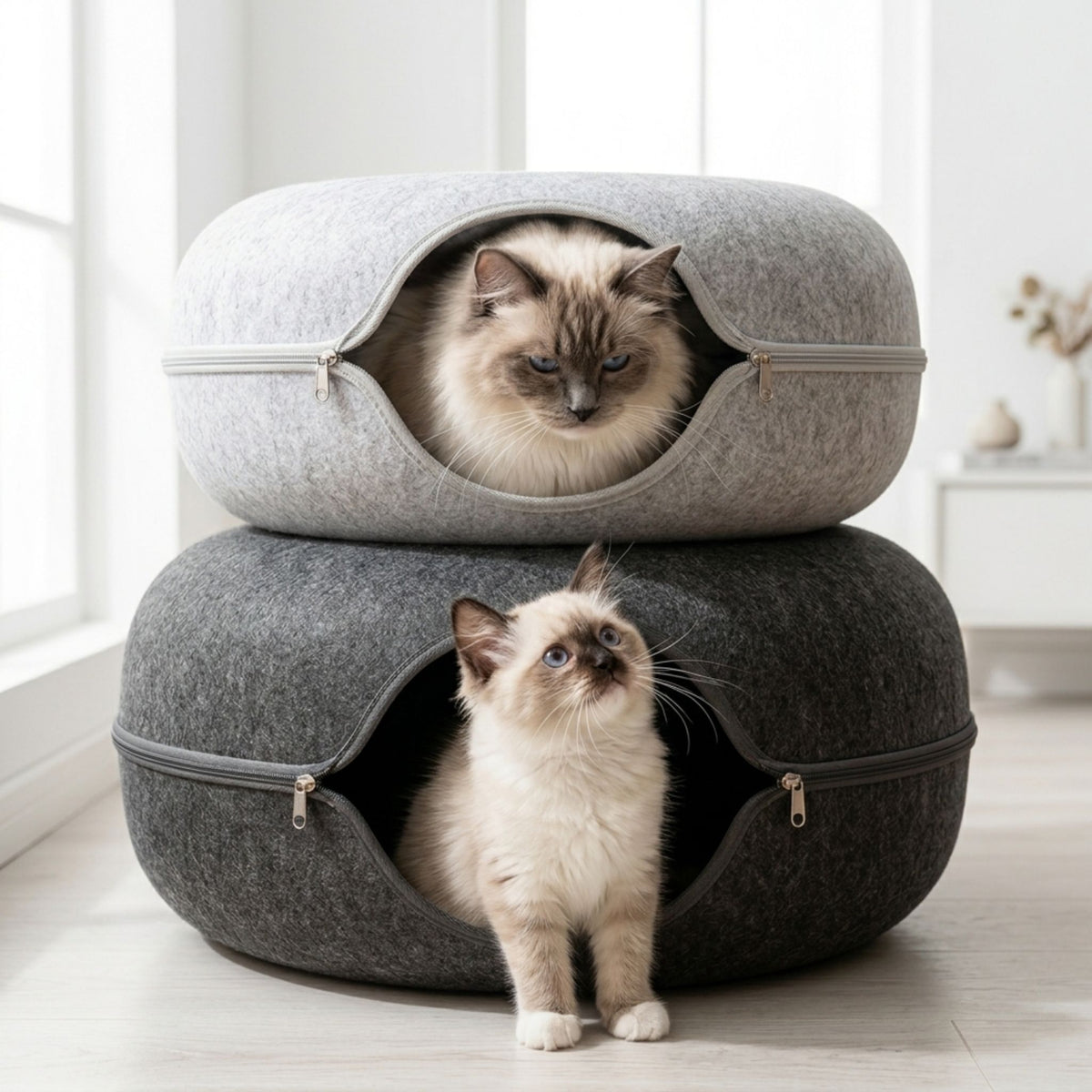 Lit pour chat tunnel donut empilable en feutre gris clair et anthracite avec fermeture éclair, illustré avec deux chats Ragdoll, vendu à la pièce