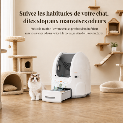 Litière automatique à tiroir ouvert avec recharge désodorisante intégrée et chat Ragdoll dans un espace de vie félin naturel