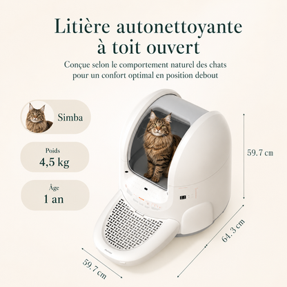 Litière autonettoyante à toit ouvert 59,7 x 64,3 cm avec chat Maine Coon de 4,5 kg debout à l'intérieur, conçue pour les grands chats