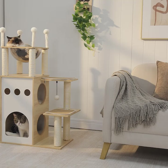 Démo de l'arbre à chat design en bois Catedo. On voit un chat Ragdoll se prélasser dans un dôme transparent en hauteur et un chat tigré explorer les différents niveaux, entrer dans la niche et jouer avec la balle suspendue. Le style épuré et les matériaux naturels s'intègrent parfaitement dans une décoration d'intérieur contemporaine.