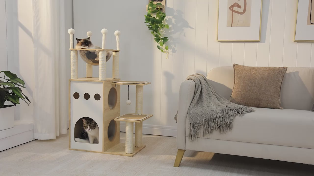 Démo de l'arbre à chat design en bois Catedo. On voit un chat Ragdoll se prélasser dans un dôme transparent en hauteur et un chat tigré explorer les différents niveaux, entrer dans la niche et jouer avec la balle suspendue. Le style épuré et les matériaux naturels s'intègrent parfaitement dans une décoration d'intérieur contemporaine.