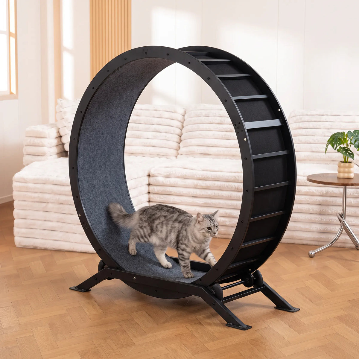 Chat gris tigré qui marche à l'intérieur d'une roue d'exercice noire dans un salon