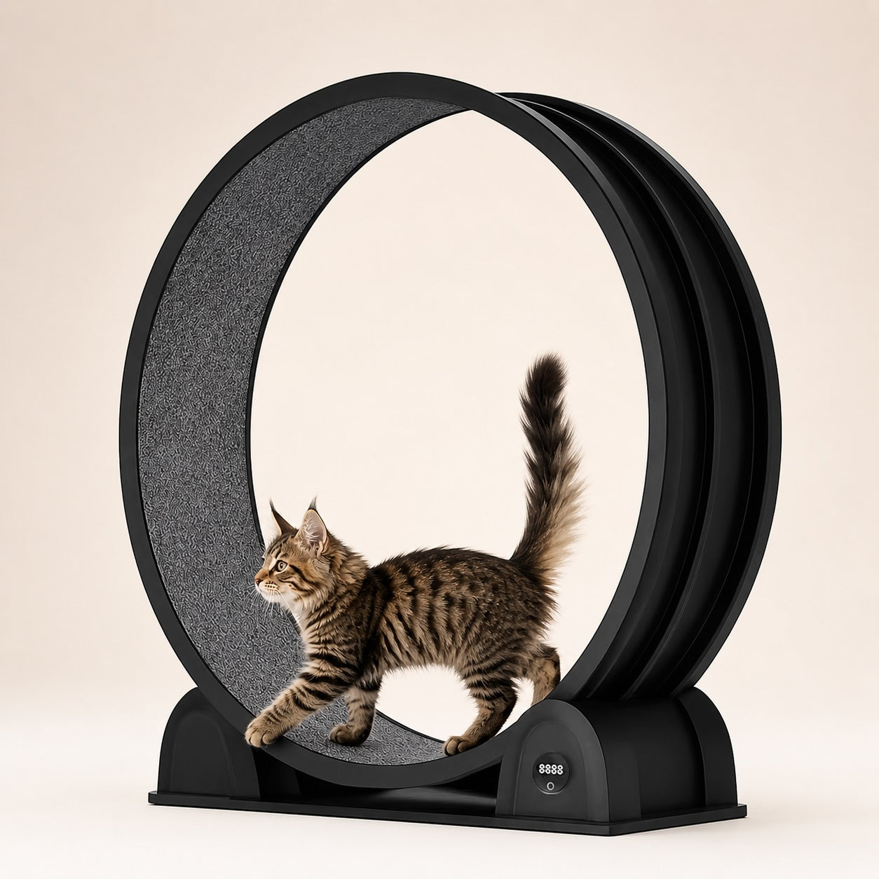 Chaton tigré en train de marcher sur une roue d'exercice pour chat noire avec compteur digital, fond beige neutre.