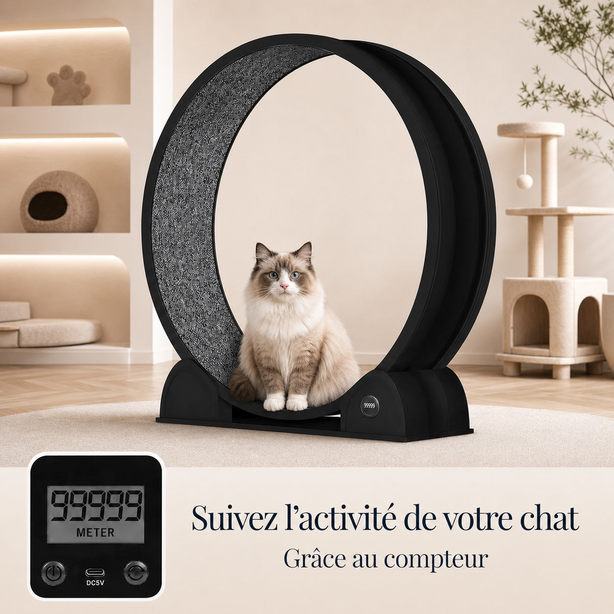 Chat ragdoll assis dans une roue d'exercice pour chat noire avec compteur digital, dans un salon beige cosy avec arbre à chat et maison de chat en arrière-plan.
