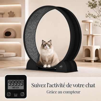 Chat ragdoll assis dans une roue d'exercice pour chat noire avec compteur digital, dans un salon beige cosy avec arbre à chat et maison de chat en arrière-plan.