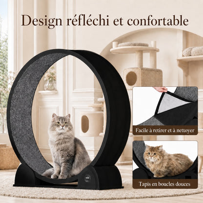 Chat persan gris assis dans une roue d'exercice pour chat noire, tapis en boucles douces amovible et facile à nettoyer, dans un salon élégant aux tons crème avec arbre à chat en arrière-plan.