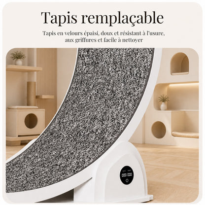 Gros plan sur le tapis en velours épaissi remplaçable d'une roue pour chat blanche, résistant à l'usure et aux griffures, salon beige moderne avec maison de chat en arrière-plan.