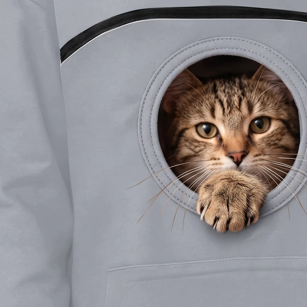 Gros plan du hublot rond d'où un chat tigré sort la tête et une patte
